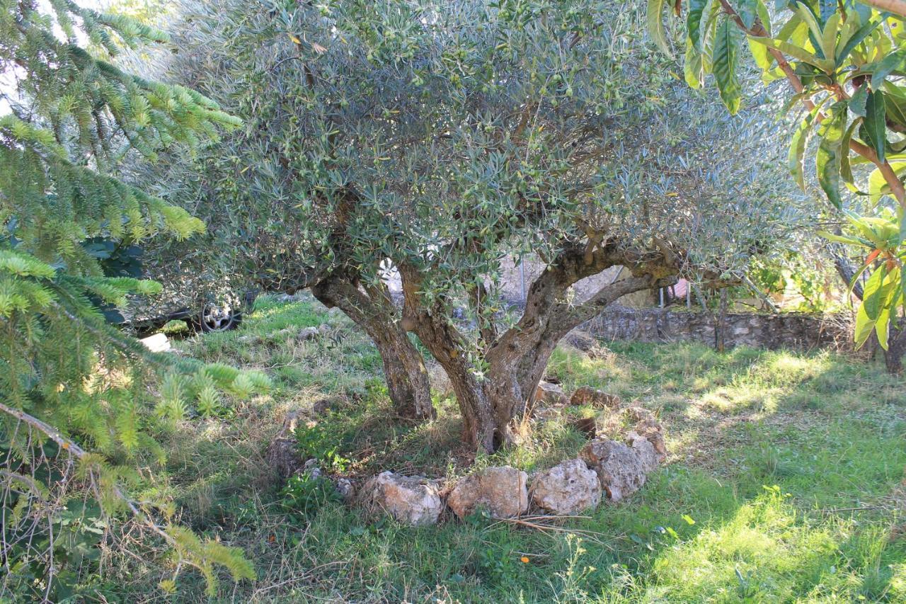 Casa Rural Baobab Romancos 외부 사진
