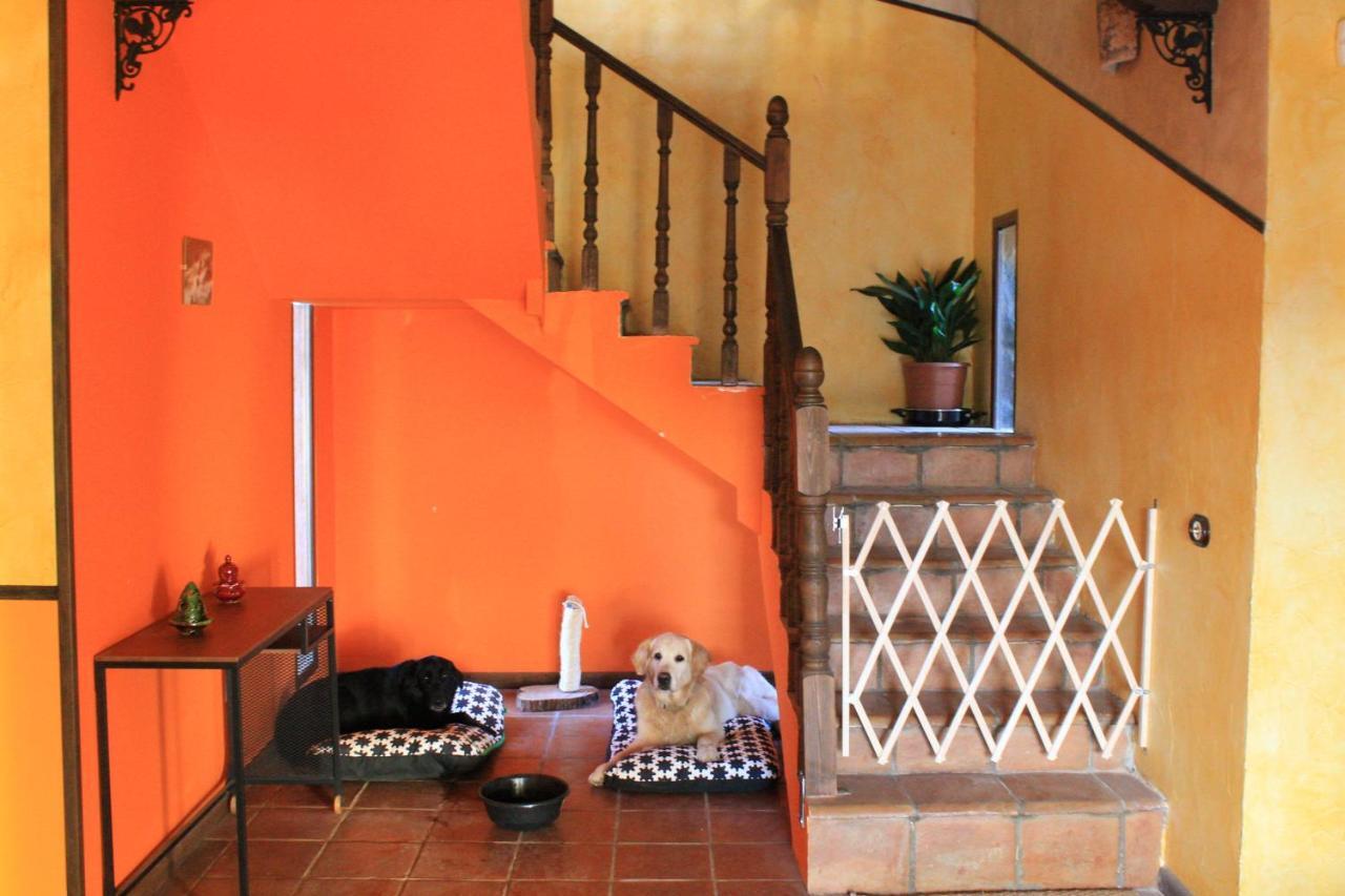 Casa Rural Baobab Romancos 외부 사진